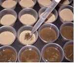 testing soil samples